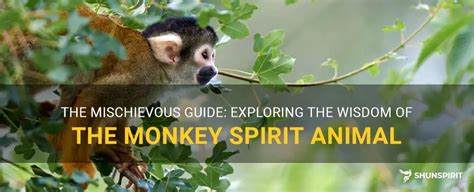 The Magical Monkey Unveils Timeless Wisdom Through Playful Mischief!